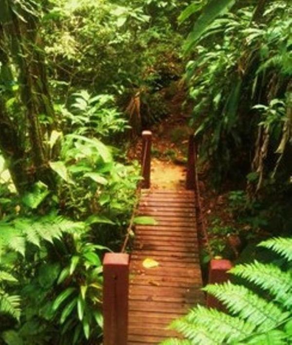 Hotel Bosques Do Massaguacu Caraguatatuba Dış mekan fotoğraf