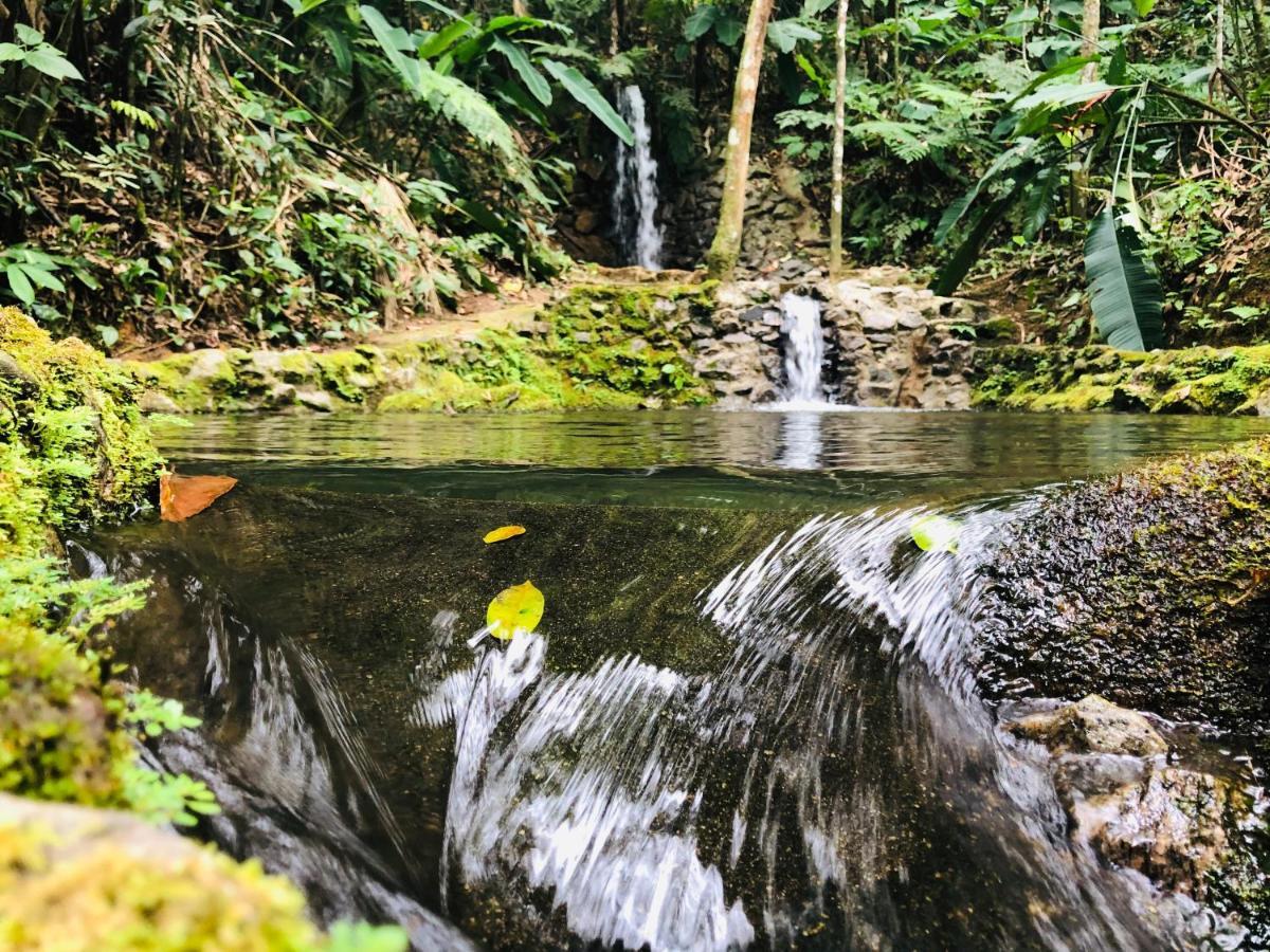 Hotel Bosques Do Massaguacu Caraguatatuba Dış mekan fotoğraf